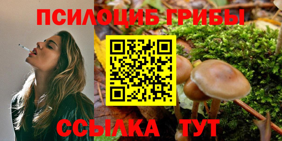 Москва  Псилоцибиновые грибы ЛСД  Вход с VPN 