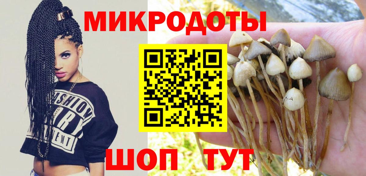 Галлюциногенные грибы прущие грибы Москва