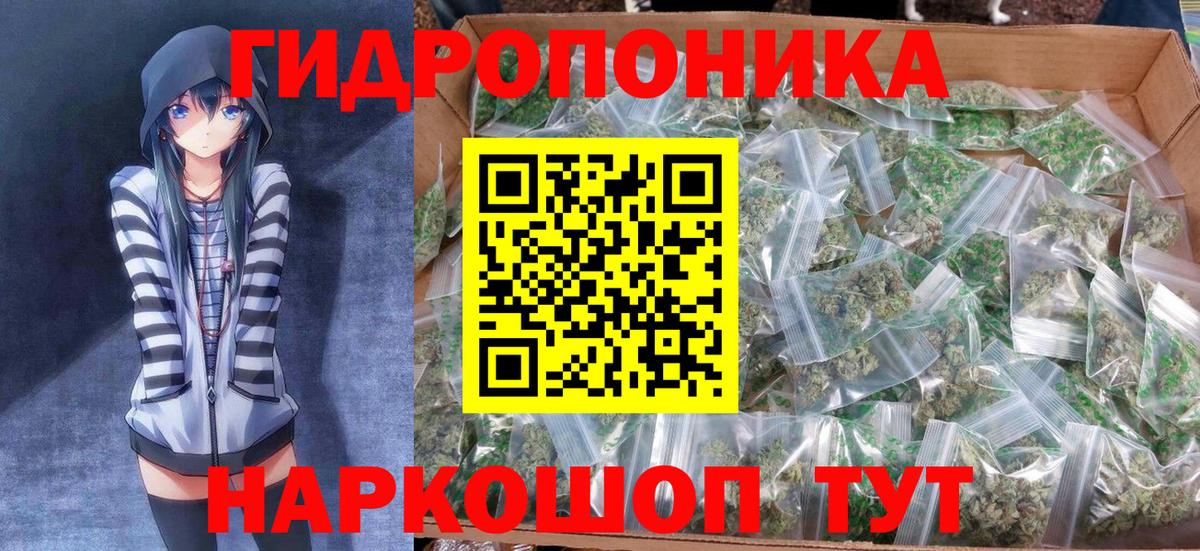 Каннабис сатива Москва